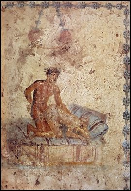 Petite levrette très socratique