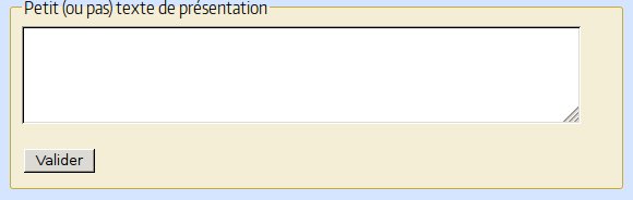 Petit ou pas texte de présentation pour votre fiche coquinons.com